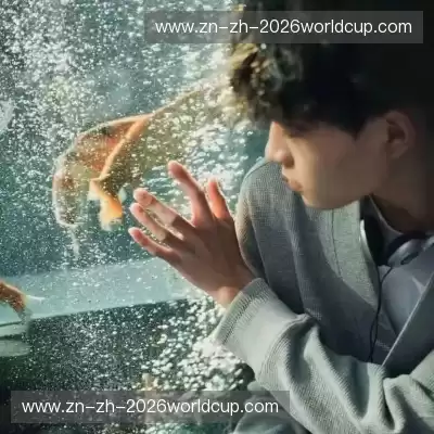 朱泓洁